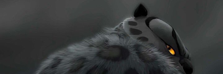 rguzman3103's profile banner image