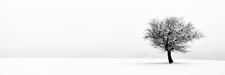 bmolinadelcampo's profile banner image