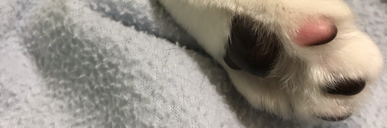 mari39happy's profile banner image