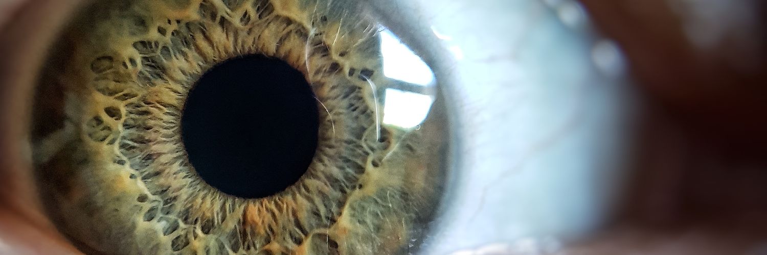 mhut3d's profile banner image