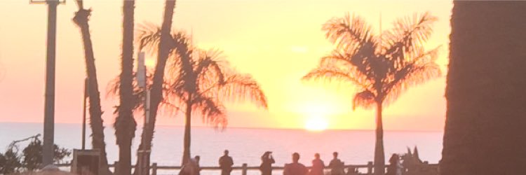 trishintech's profile banner image