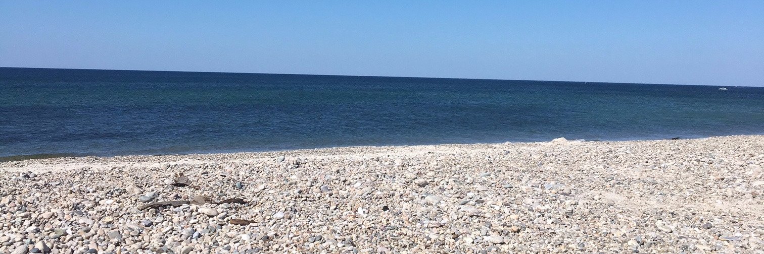 CornellCapeCod's profile banner image