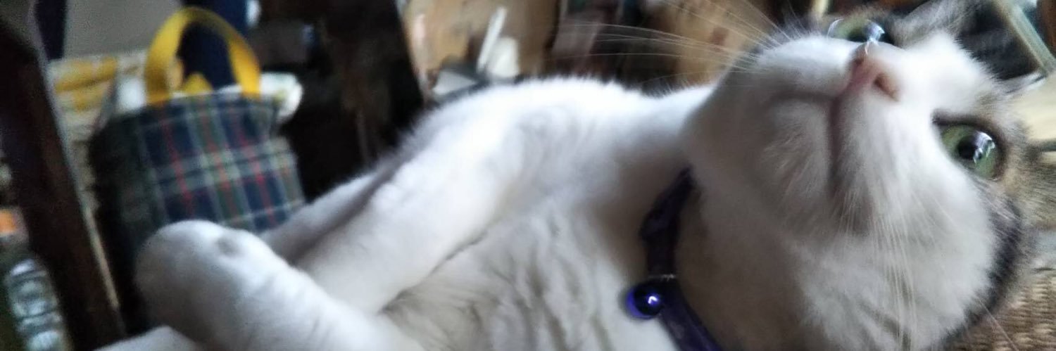 mya_o8's profile banner image