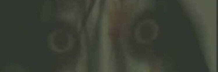 cherrySOSK's profile banner image