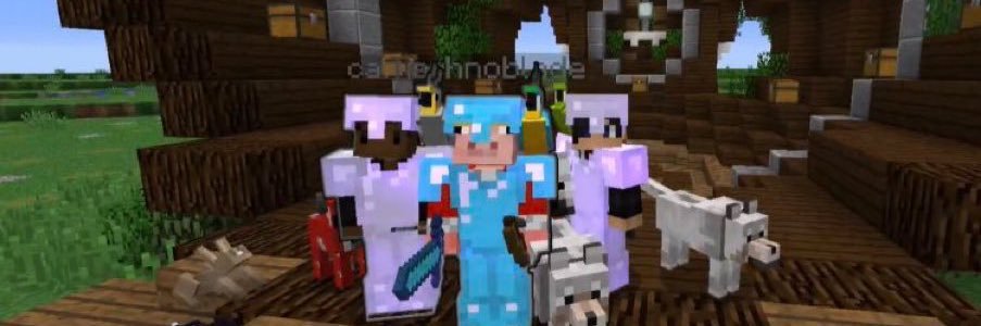 SleepyHunt's profile banner image