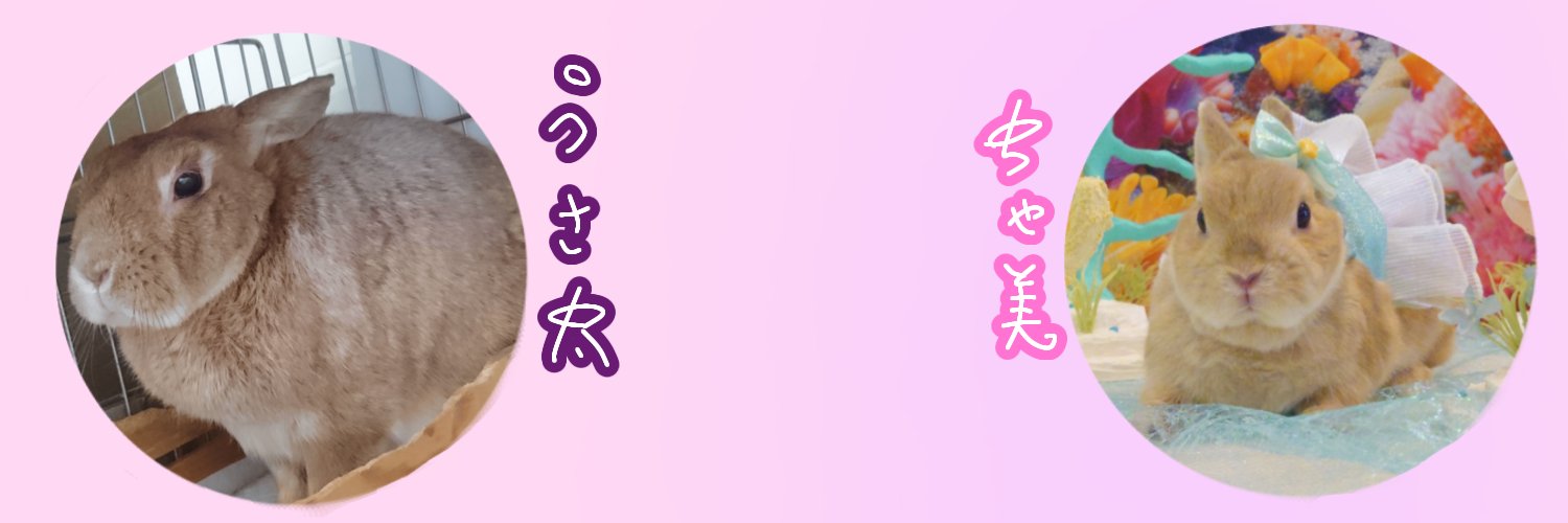 usagi2345's profile banner image