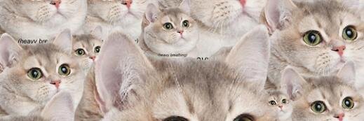 SimonC277's profile banner image