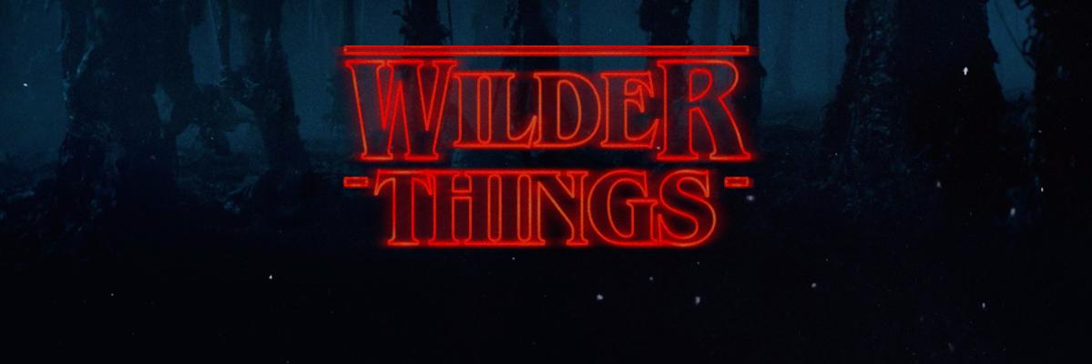 getwilder2's profile banner image