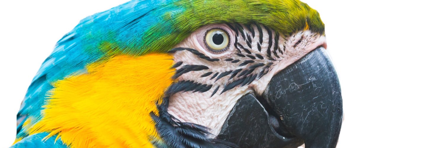 AwcpPark's profile banner image