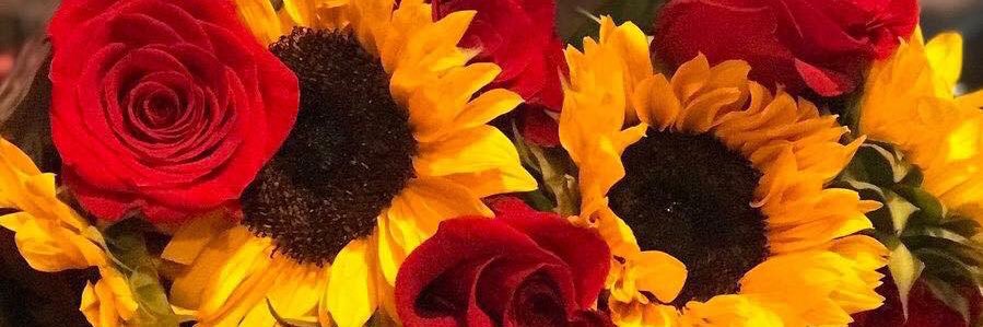 Honei ✊🏾 banner