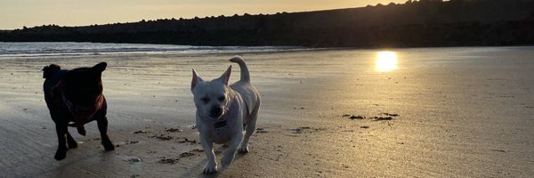 TheKyleRees Profile Banner