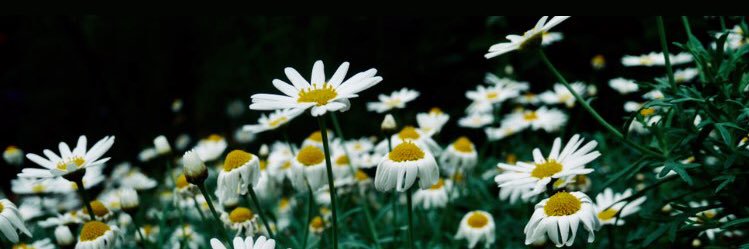 ulilnf's profile banner image