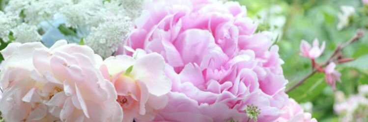 urara6869's profile banner image