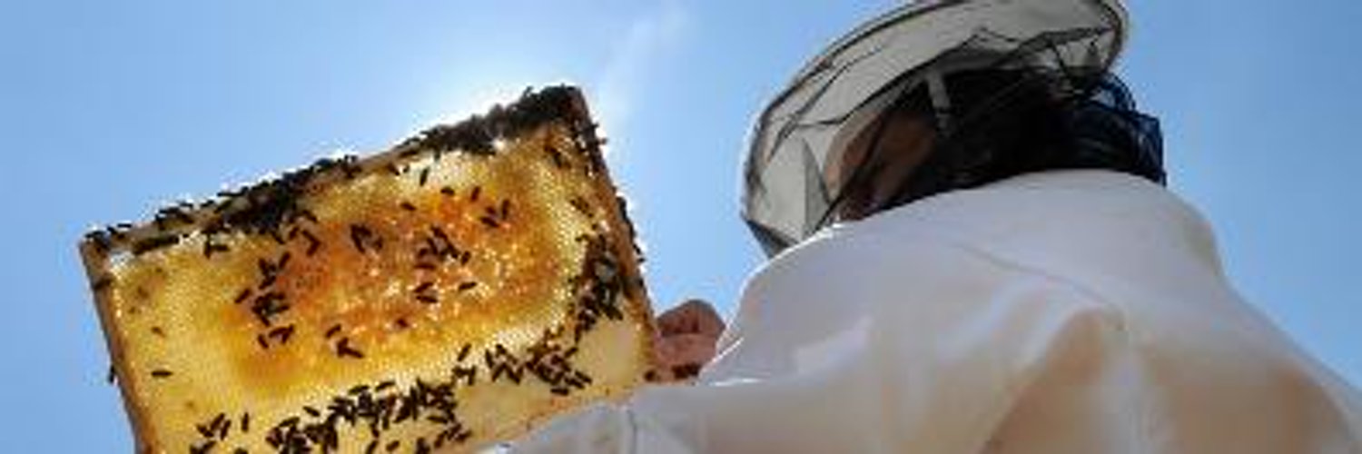 Scottish Beekeepers Profile Banner