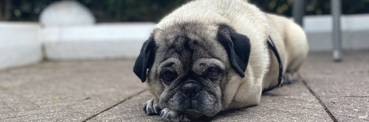 Ciara Keating banner