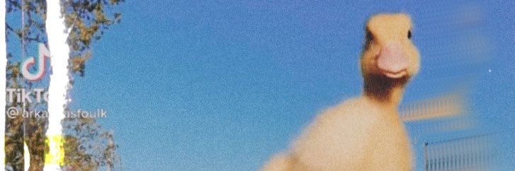 randi_m07's profile banner image