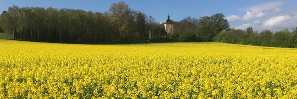 TomWeb20 Profile Banner