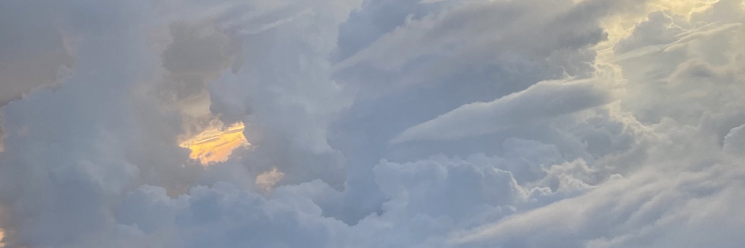 ner_dhee9's profile banner image