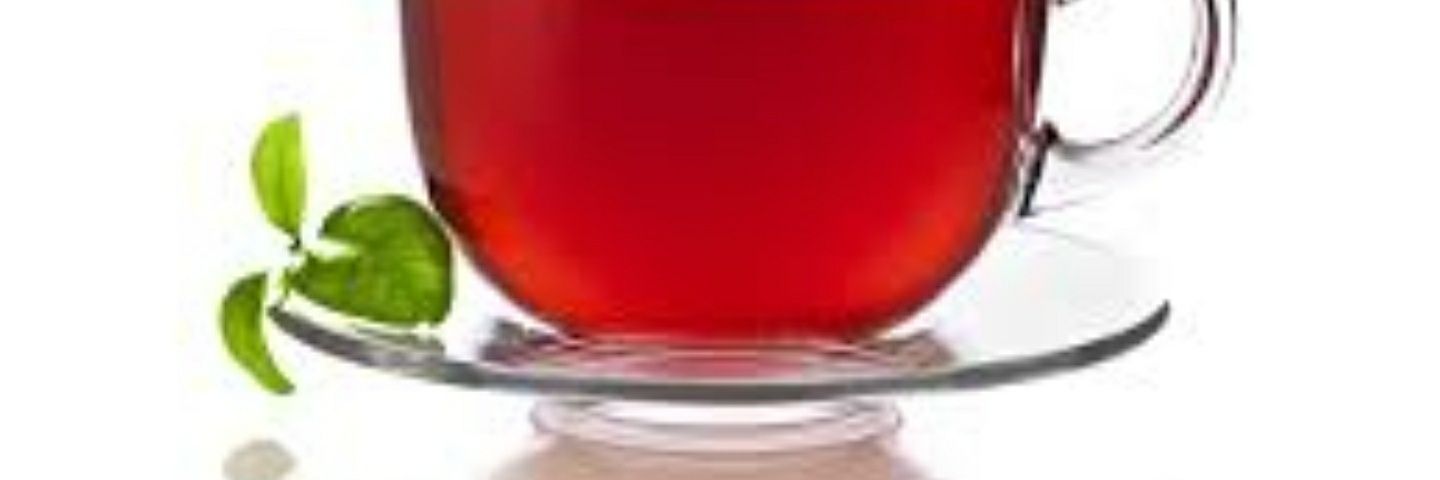 Acadiaspring's profile banner image