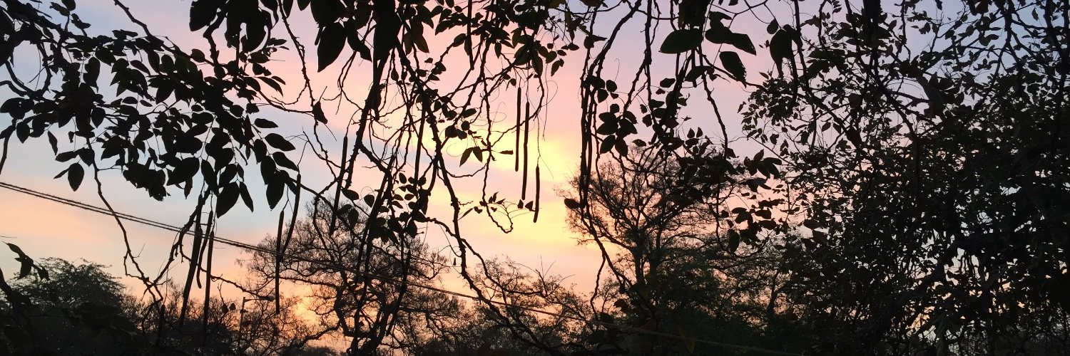JayaMathur09's profile banner image