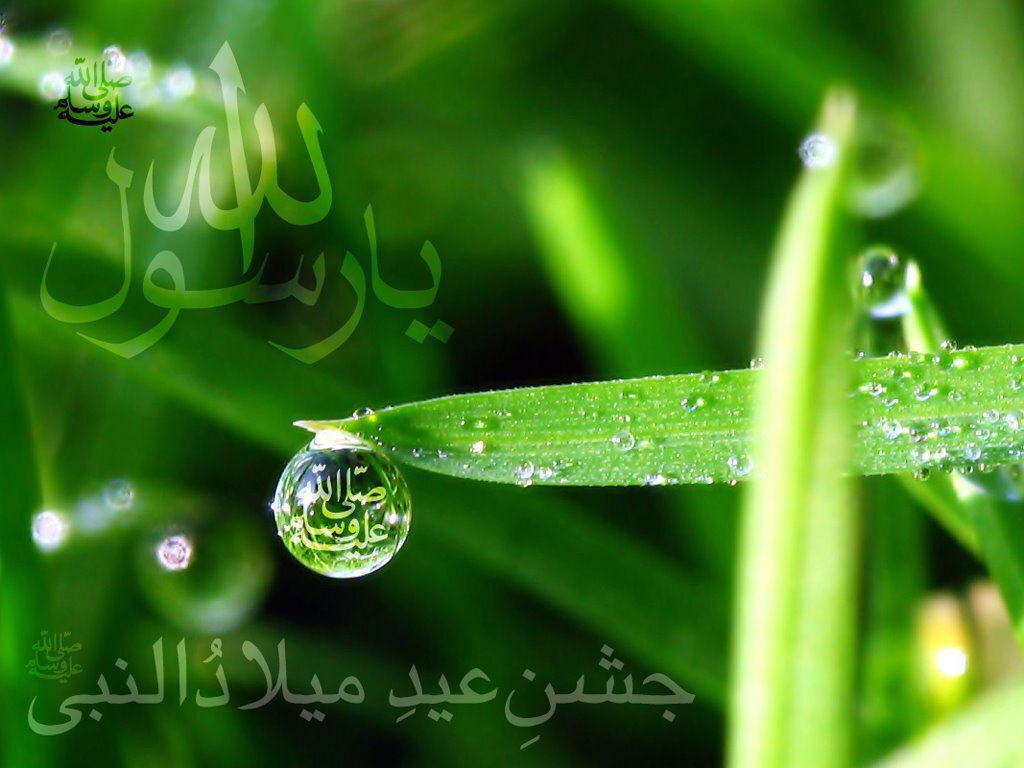 SarwarTanveer's profile banner image