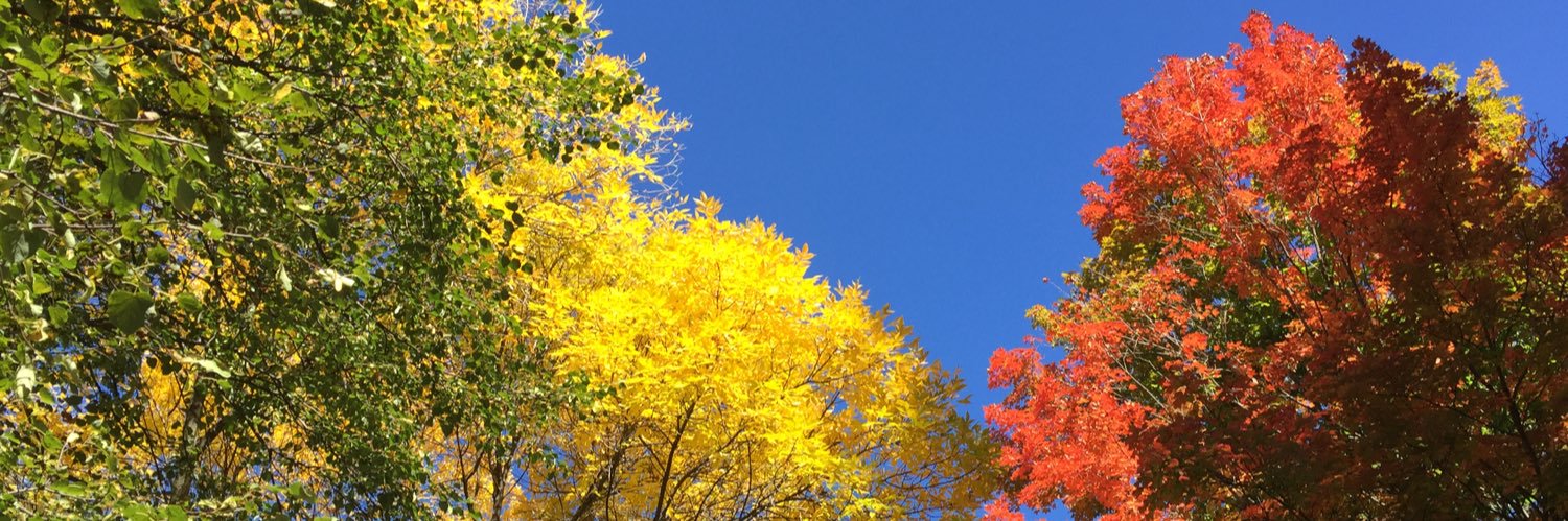danengw's profile banner image