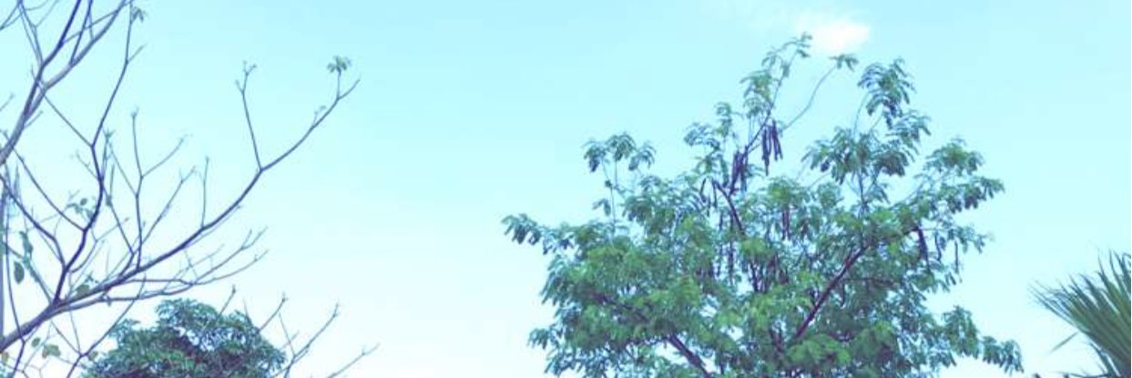 Sweeir_A's profile banner image