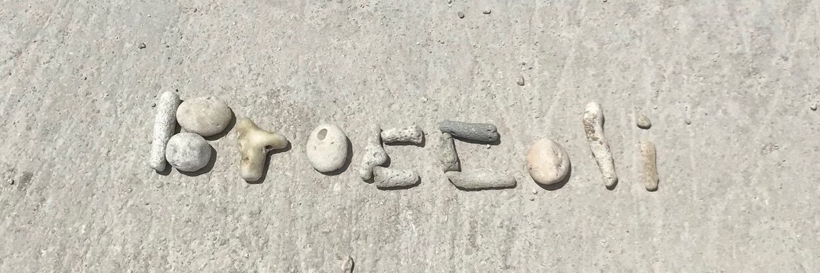 BroccoliSavage's profile banner image