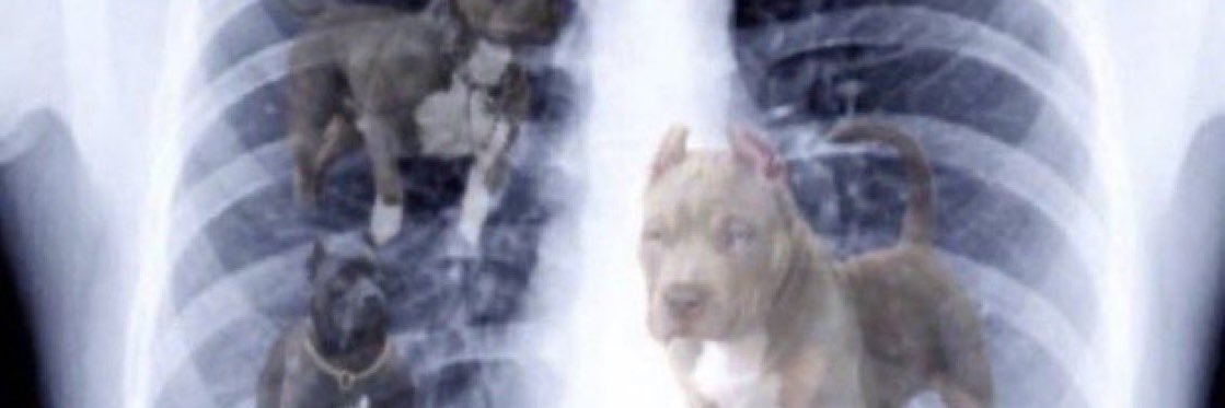 UrFriendCraig's profile banner image