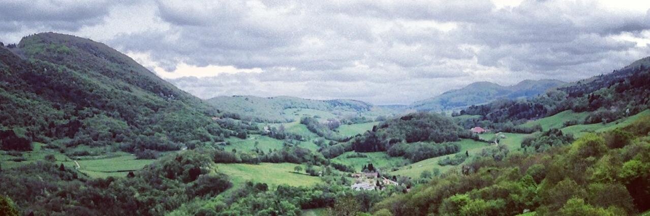 Dr Stephane 🤦‍♂️🐘 banner