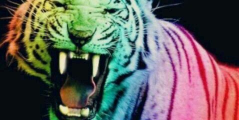 Marinamoren0's profile banner image