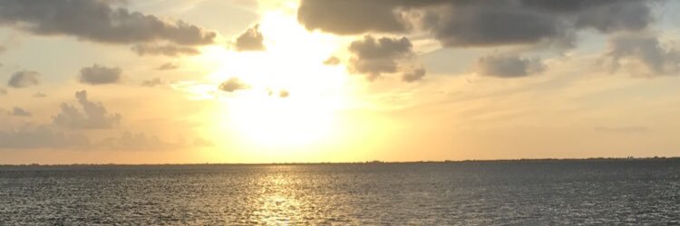 EHribek's profile banner image
