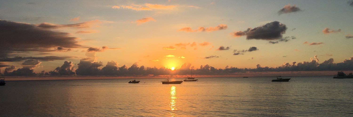 Lauren Hargreaves banner