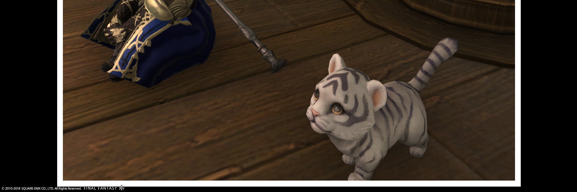 すきんぶる-ff banner