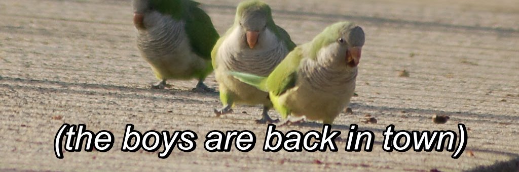 stopcolleen2k14's profile banner image