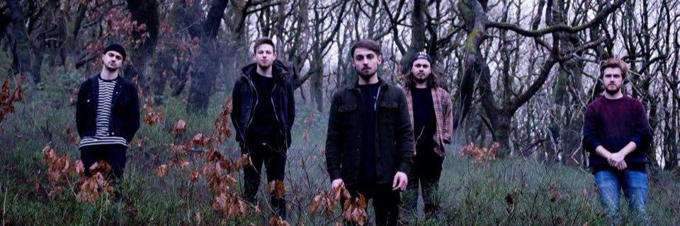 Forrestwales's profile banner image