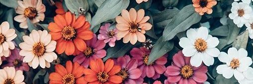 AndreeaMM98's profile banner image