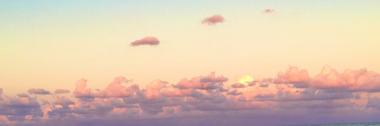 abbythomas04's profile banner image