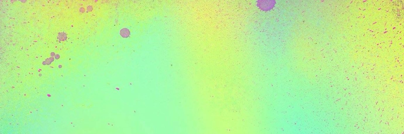 NativeNucleolus's profile banner image