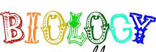TheBus216's profile banner image