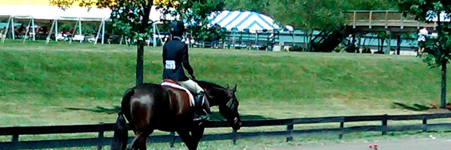 KateBucciarelli's profile banner image