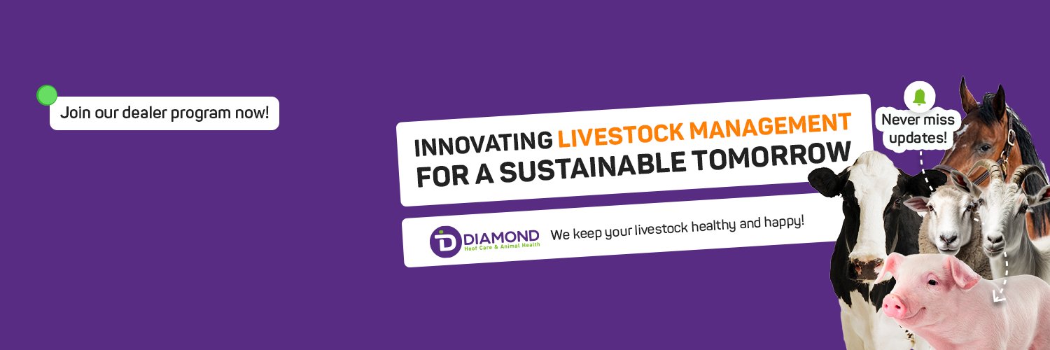 DiamondHoofCare's profile banner image
