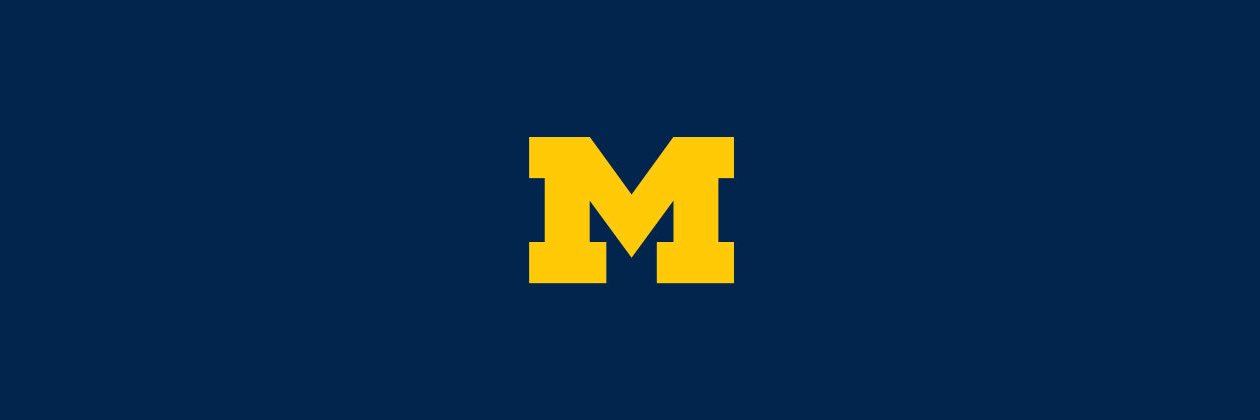 Michigan Truther banner