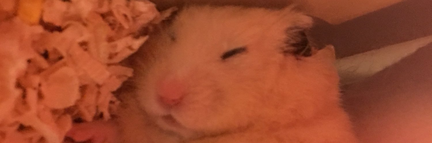 symkunn's profile banner image