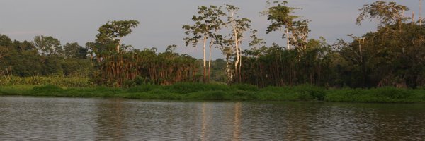 DrEcoMaz Profile Banner