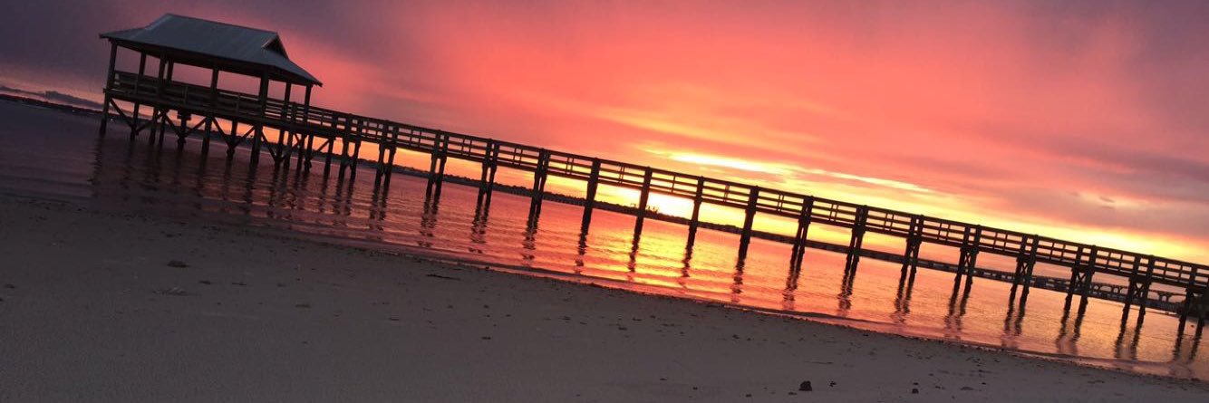 edenscullyy's profile banner image