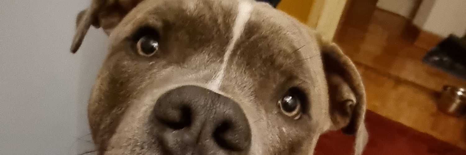 gauteth's profile banner image