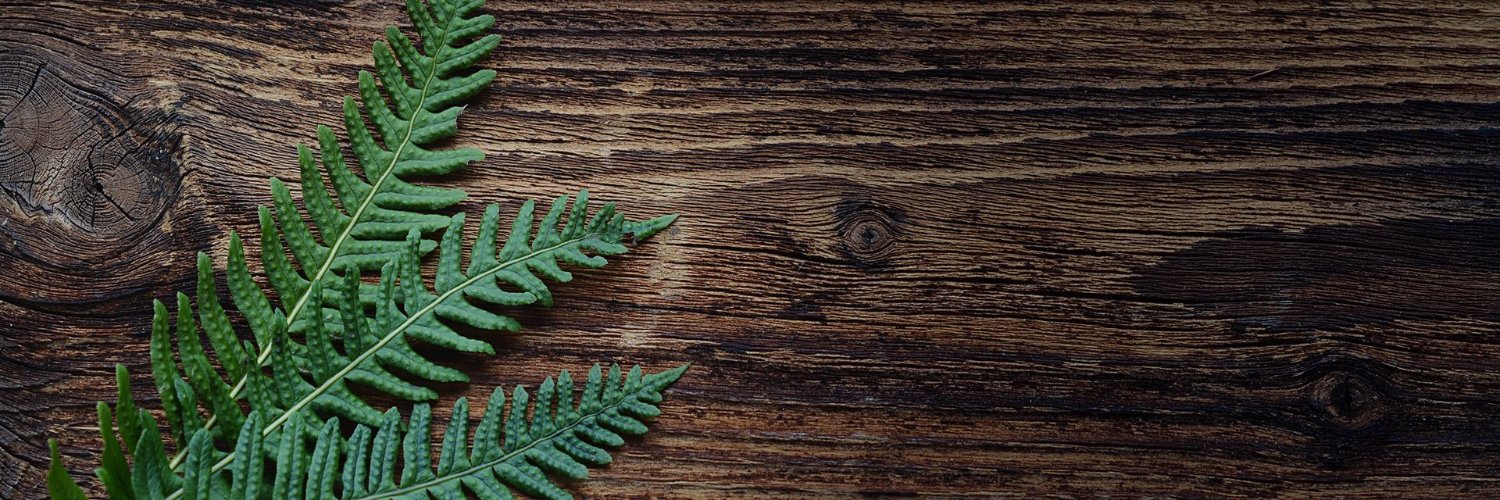 YHom's profile banner image