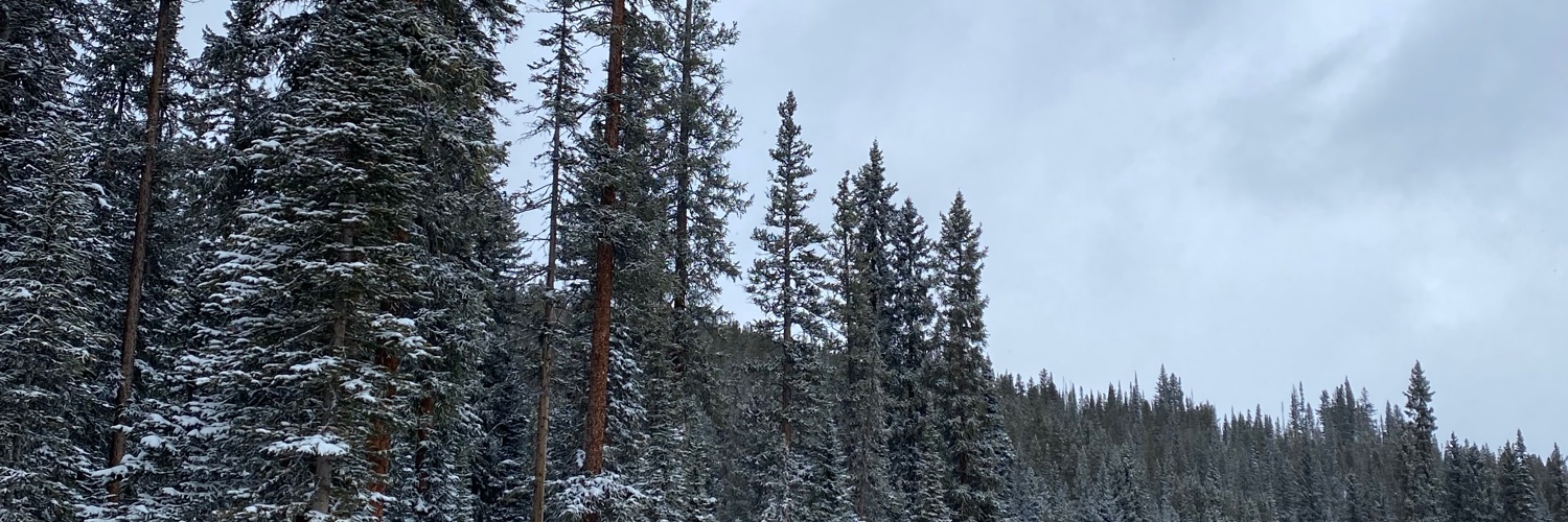 jbrezle's profile banner image