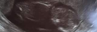 MikeTruth603's profile banner image